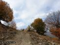 گزارش تصویری از فصل پاییز در جنگل ابر شاهرود